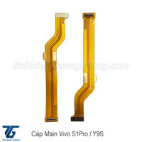 Cáp Main + LCD Vivo S1 Pro / Y9S