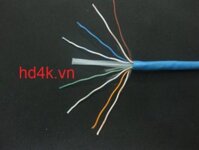 Cáp mạng CAT6 UTP AMP 1427254 - 6