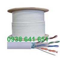 Cáp mạng Cat6A chính hãng CommScope (AMP) FTP 884024508/10