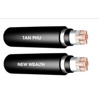 Cáp ngầm 0.6/1Kv - CU/XLPE/PVC/DSTA/PVC 4X