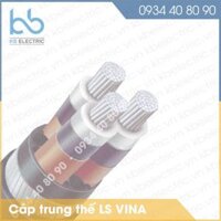 Cáp ngầm trung thế Ls Vina Cu/XLPE/PVC/DSTA/PVC 3×95