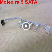 Cáp nguồn Molex IDE 4 pin ra 5 SATA – Cáp chia nguồn SATA 1 đầu 4 pin ATA sang 5 SATA 60Cm