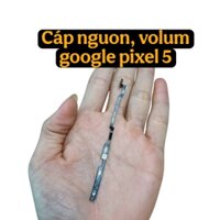 Cáp nguon, volum google pixel 5 zin, bóc máy