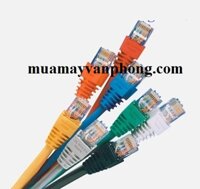 Cáp nhảy-Patch cord AMP CAT5E UTP 3 mét