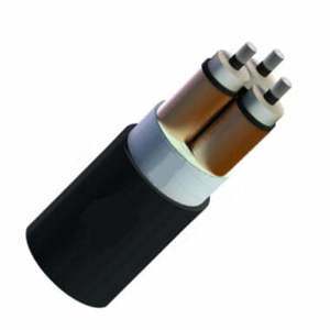 Cáp nhôm trung thế Cadivi AXV/SE-DSTA-3×300