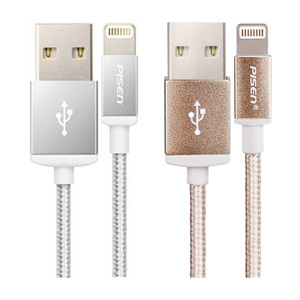 Cáp Pisen Double sided Lightning 1 m AL06-1000 (JC.036)