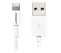 Cáp Pisen Lightning 1M (Fast)