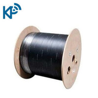 Cáp quang 2 sợi ống lỏng Vinacap FTTx-2Fo