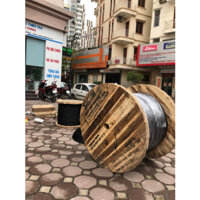 Cáp quang 8 FO treo single mode ( Cáp lỏng)