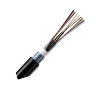 Cáp Quang 8FO Luồn Cống PKL