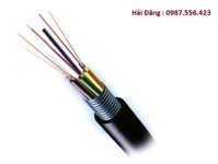 Cáp quang ngầm 4 sợi (4Fo) Vinacap bọc kim loại