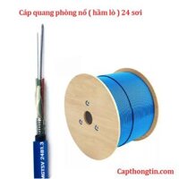 Cáp quang phòng nổ MGTSV 24 sợi ( 24B1.3 , 24 core, 24 lõi)