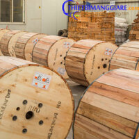 Cáp quang treo singlemode 24FO