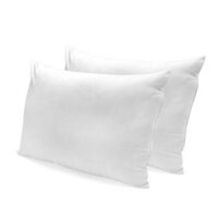 Cặp Ruột Gối Tmark - Mềm Mại & Thoáng Mát 40 x 60cm