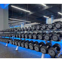 Cặp tạ tay 12.5kg chất liệu thép bọc cao su nhập khẩu chính hãng Technogym