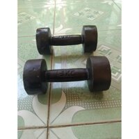 Cặp Tạ Tay Gang Đúc Nguyên Khối  5kg (10kg cho 2 tay)