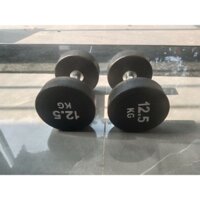 Cặp tạ tay thép bọc cao su Technogym 12.5kg