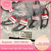 Cặp thằn lằn đỡ sên cam Winner- Sonic