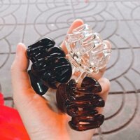 Cặp tóc nhựa Thái Lan chắc chắn, gọn tóc, thời trang, không bị gãy chân như cặp Việt Nam, có 3 màu: Trắng , Đen, Nâu