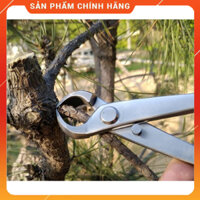 Cạp tròn bonsai thép trắng kt 21cm
