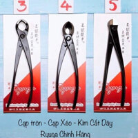 Cạp Tròn, Cạp Xéo Bonsai Ryuga Chính Hãng