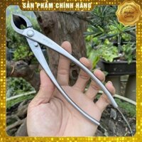 Cạp Tròn, Cạp Xéo Bonsai Ryuga Chính Hãng mẫu 2023