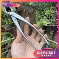 Cạp Tròn, Cạp Xéo Bonsai Ryuga Chính Hãng mẫu 2023