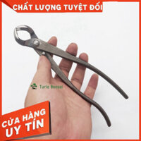 Cạp tròn cây cảnh cạp tròn bonsai 21cm Kameshop620