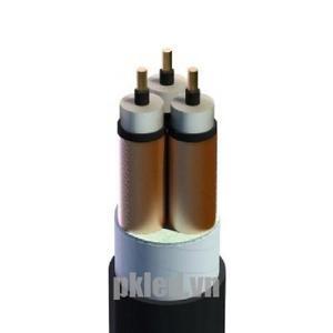 Cáp trung thế Cadivi CXV/SE/DSTA 3x70