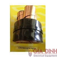Cáp trung thế CXV/SE-DSTA 3×120 Cadivi