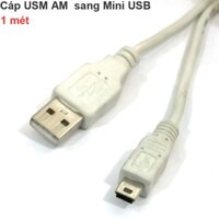 CÁP USB AM SANG MINI USB 1 MÉT CHO MÁY TÍNH RA MÁY ẢNH AVERMEDIA GL310