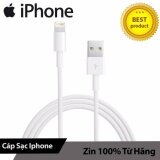 Cáp Zin cho iPhone 5 5c 5s APPLE - Hàng nhập khẩu