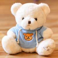 capybara teddy bears toys small teddy bears big teddy bears Gấu Bông Dễ Thương Búp Bê Mặc Quần Áo Gấu Sang Trọng Đồ Chơi Ragdoll Búp Bê Túi Gấu Trẻ Em Quà Tặng Sinh Nhật