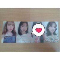 Card ảnh izone