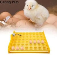 CARING PETS 220V Với động cơ quay tự động Đa chức năng Tự động Đối với trứng vịt gà Máy ấp trứng Phụ kiện người môi giới Khay đảo trứng