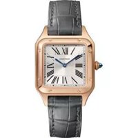 Cartier Santos-Dumont WGSA0022 Watch 38 x 27.5