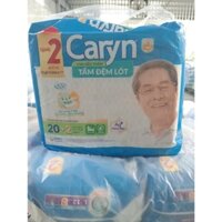 Caryn Miếng Lót Người Lớn 20 Miếng