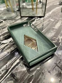 Case HiBy R6 III Green