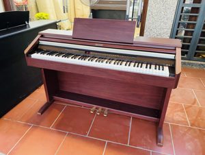Đàn Piano Casio CELVIANO AP-500