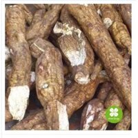 Cát căn (củ sắn dây) 1KG - LCS381