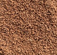 Cát Mangan Đài Loan