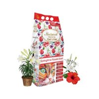 Cát vệ sinh ấn độ hương spring time cho mèo 7.5kg