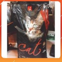 Cát Vệ Sinh cho meo Cat