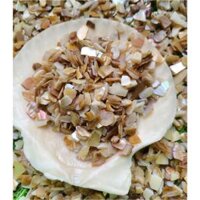 Cát Xà Cừ Hạt To Lót Đĩa Ốc Biển Chống Cháy, bảo vệ vỏ ốc dùng khi đốt xô thơm, đốt nhựa cây với than - 50gr Xà Cừ Thô