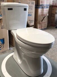 cầu 2nhan nắp êm HC v31 pozzi