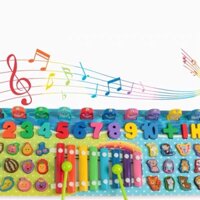 Câu cá 5 trong 1 kèm đàn