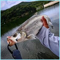 Câu Cá Giun Dụ Mô Phỏng Nổi Giun Cá Mồi Thực Tế Câu Cá Di Động Phụ Kiện Câu Cá Cho tdevn