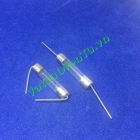 Cầu chì 10A 250V ống thủy tinh 6x30mm chân cắm