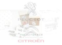 CẦU CHÌ 50A 9665408080 PEUGEOT 3008