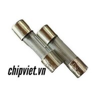 CẦU CHÌ 6X30MM 0,2A